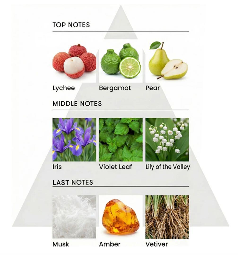【本日限定価格】ショーレイヤード　1945 フォレストグリーン
