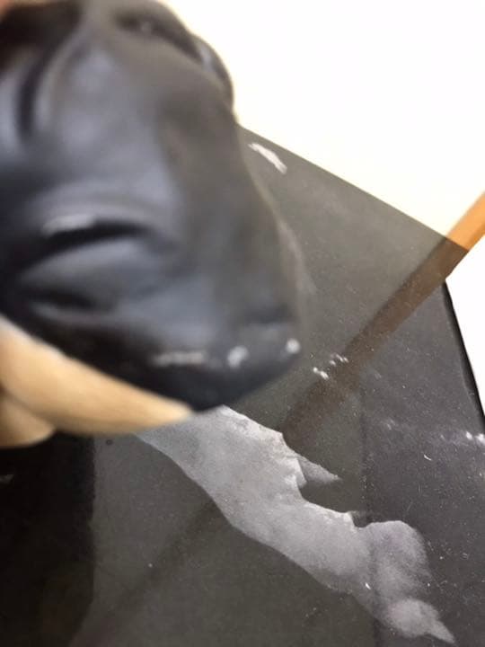 Russ フィギュリン　ウェディングベア　クマさん　確認用