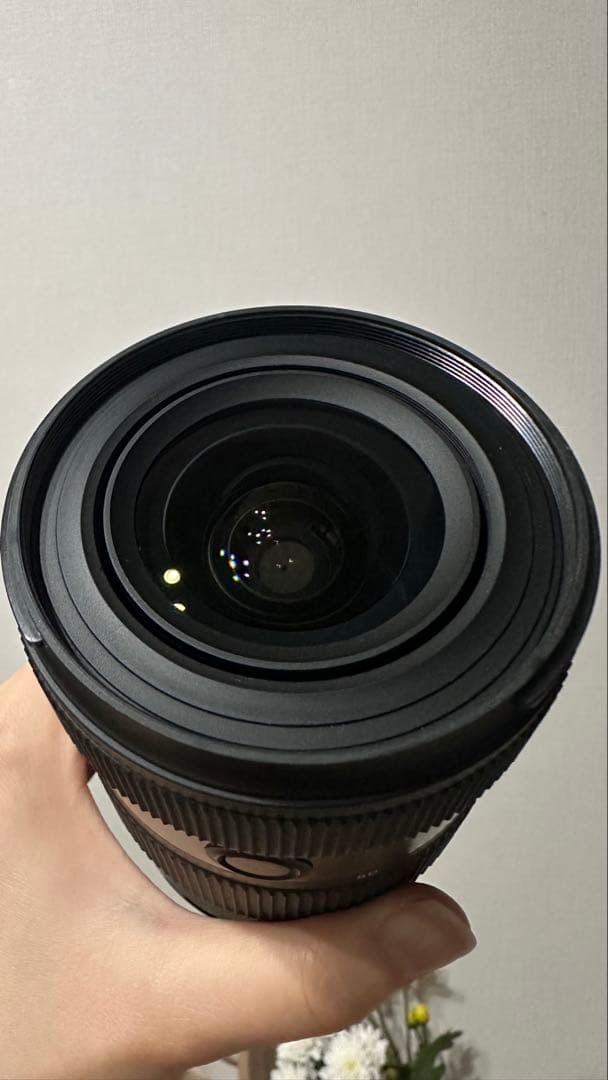 【最終値下げ】タムロン 17-50mm F/4 Di III VXD ソニーE用