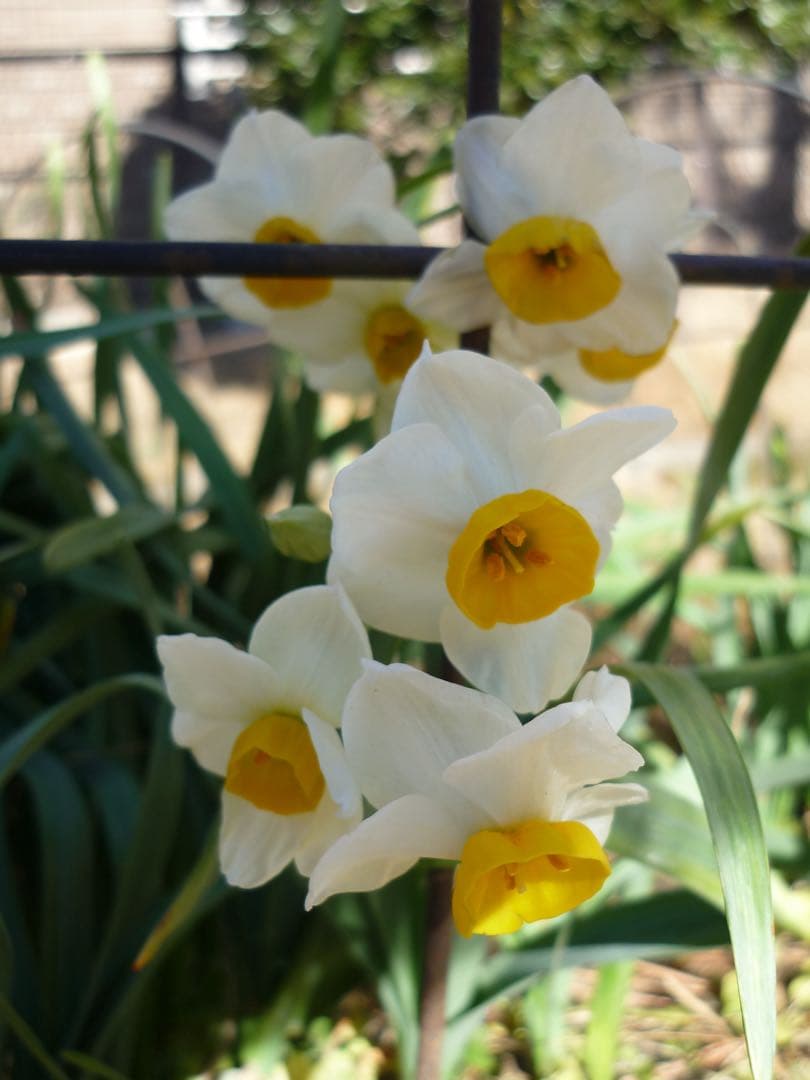 追加あり⭕️美品【動作確認済】Panasonic LUMIX DMC-FS7