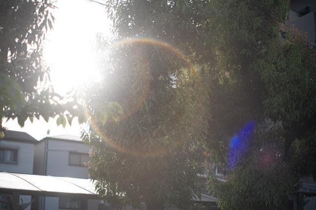 【オールドレンズ】Super Takumar 55mm f1.8 後期