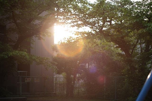 【オールドレンズ】Super Takumar 55mm f1.8 後期