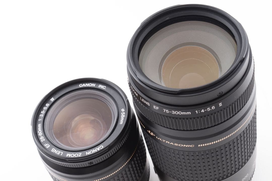 ☆ Canon EOS 5D mark III標準&望遠ダブルレンズセット☆