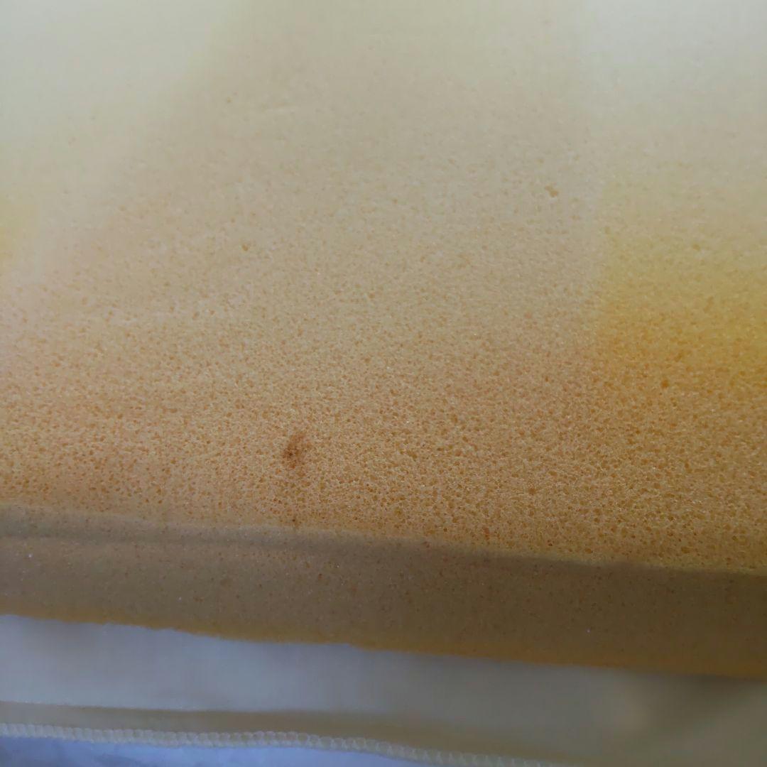 トゥルースリーパー 低反発マットレス 専用内カバー付き セミダブル