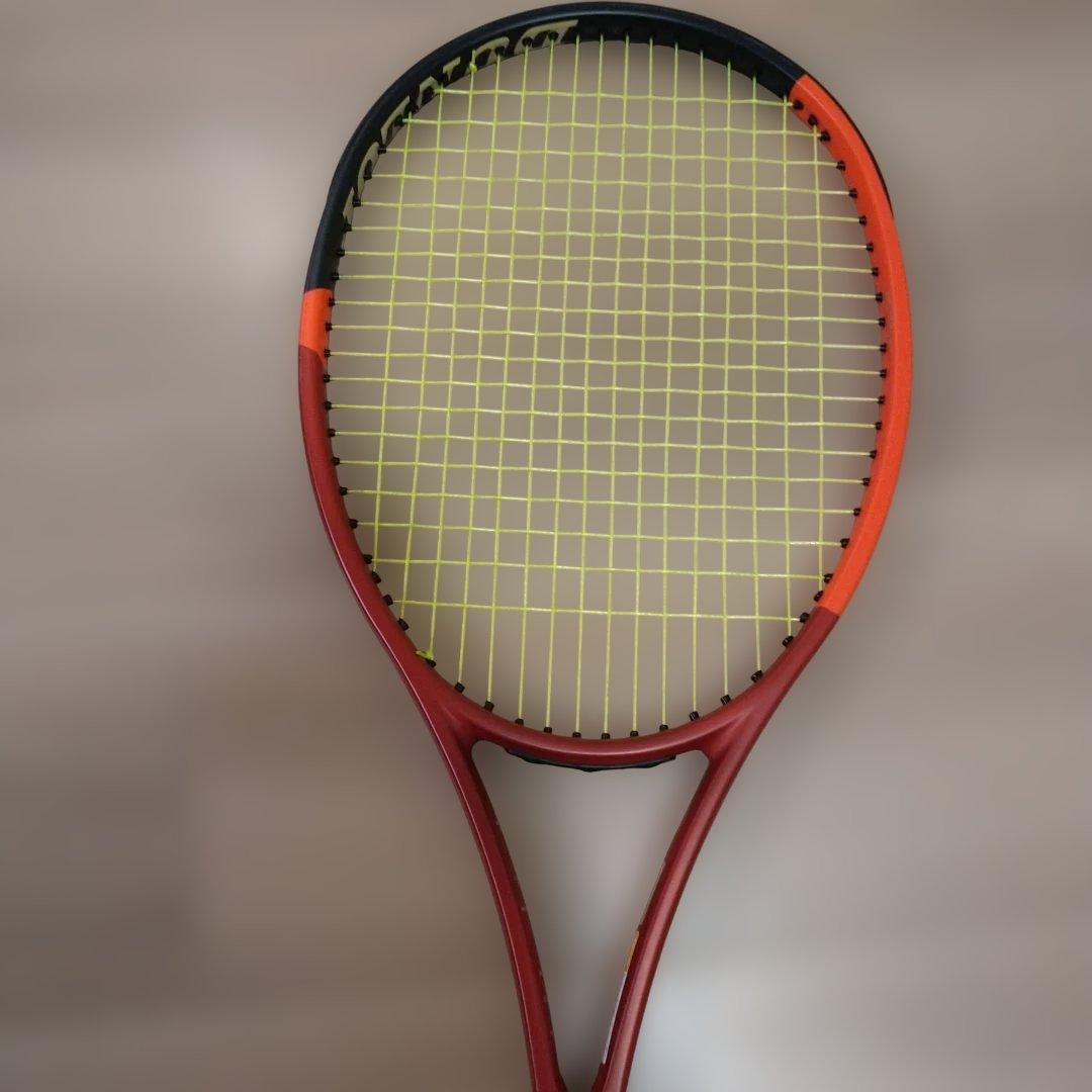 ダンロップ　CX200　2024年版 二本セット