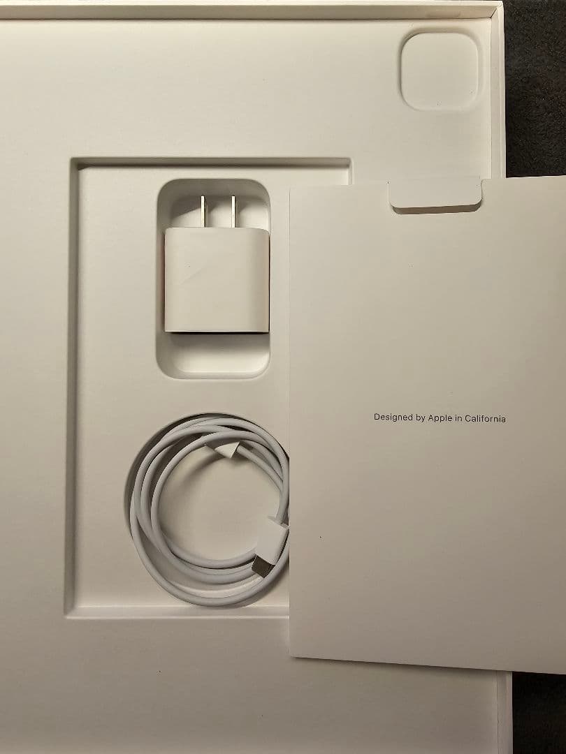 ipad pro12.9 256G WiFi 第5世代&Apple Pencil