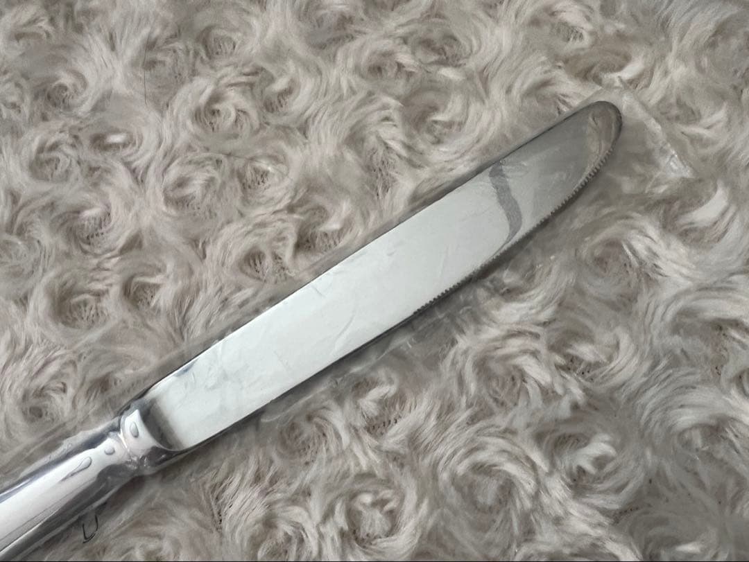 【Carolineさま専用】ビレロイ&ボッホ　ディナーセット〈24本セット〉