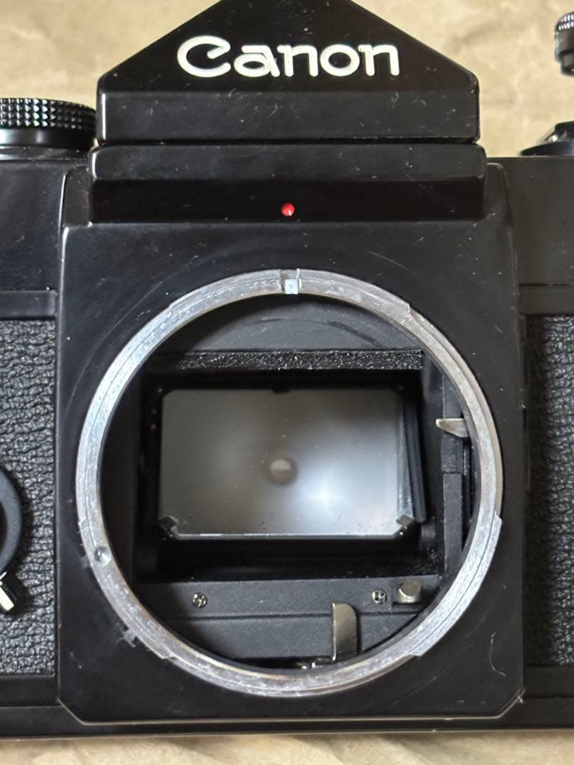 ミ*ニ様 【美品】Canon F1 後期 50mm f1.4 レンズセット