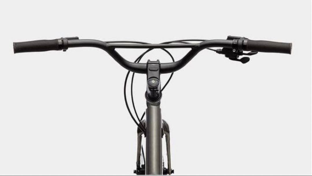 【手渡し限定】 キャノンデールTREADWELL 2 LTD色RAW Mサイズ