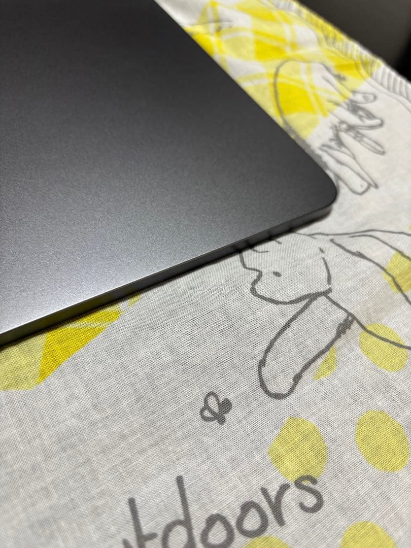 美品 iPad Air 256G Apple Pencil2セット