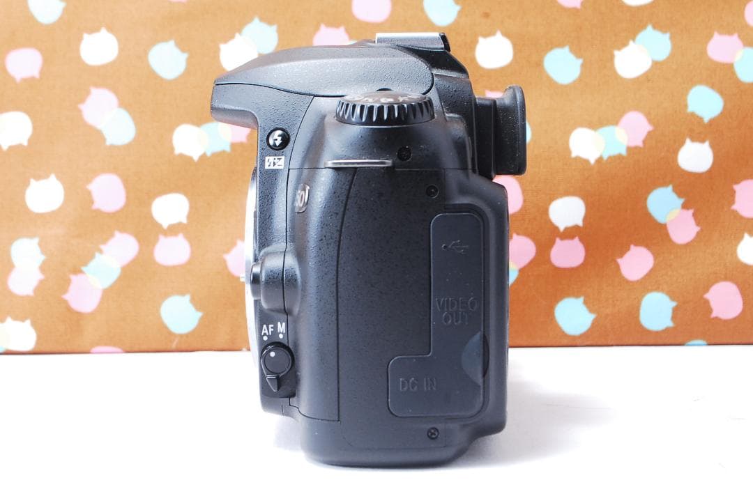 ✨超豪華新品級✨ショット数1748回✨Nikon D50 ダブルレンズセット