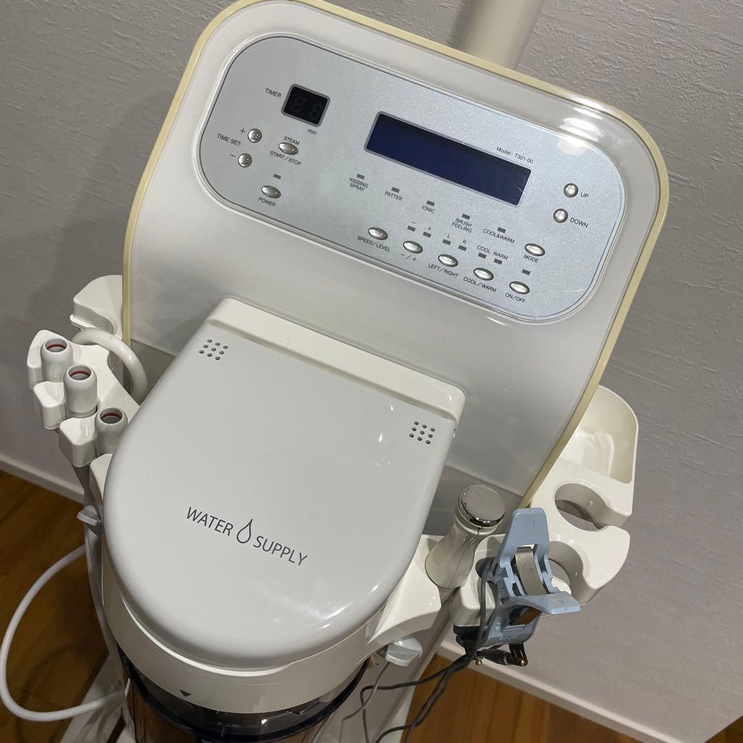 最終値下げ価格⭐︎グラティス301 滝川エステ