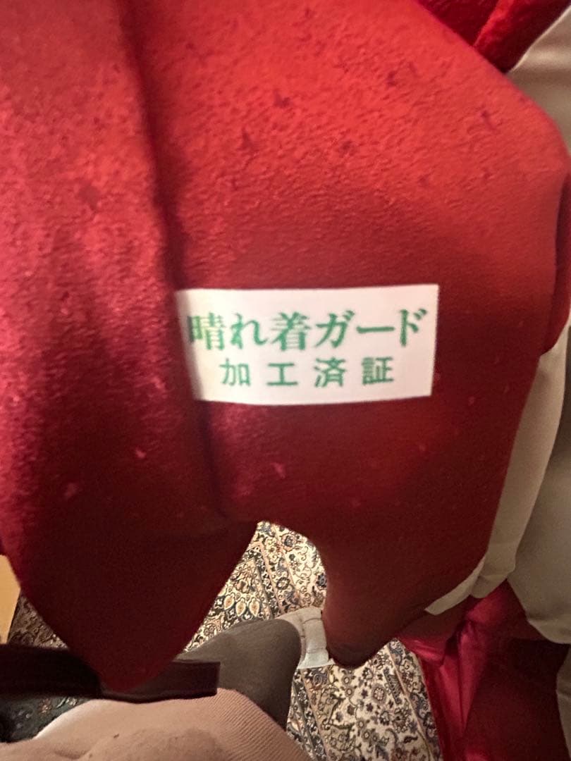 振袖赤地 藤花 風景 古典柄 金彩 晴れ着ガード