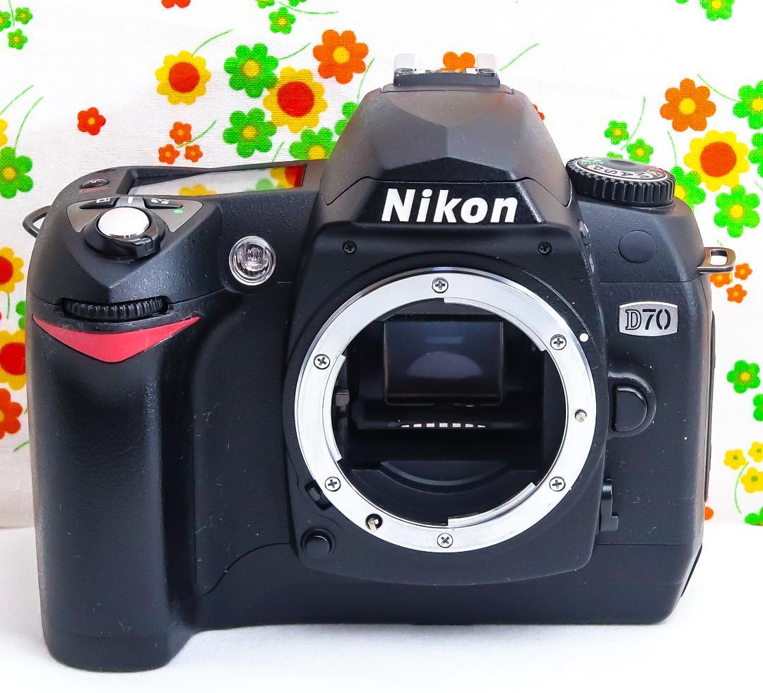 ニコン Nikon D70☆スマホに転送☆広角から望遠まで撮影！☆初心者おすすめ
