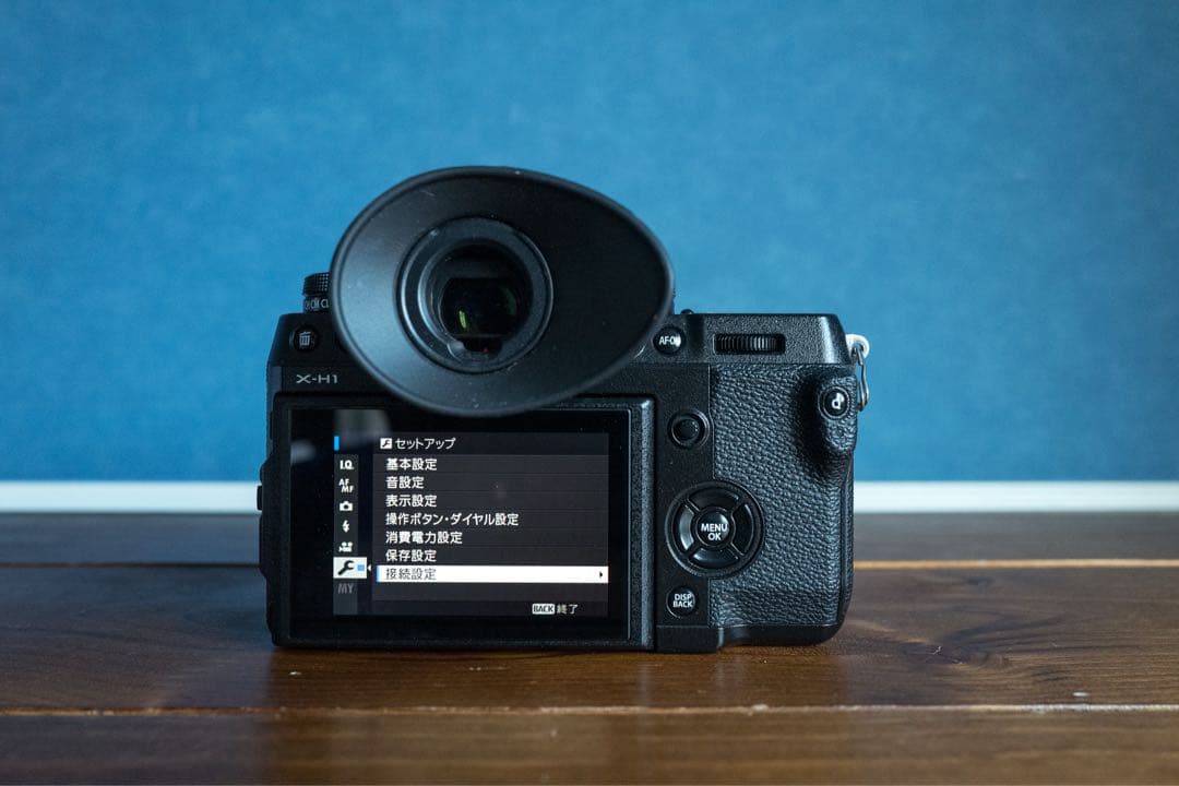 ハ*ム様 フジフィルムX−H1 / Xシリーズ初代日本製フラッグシップショット2