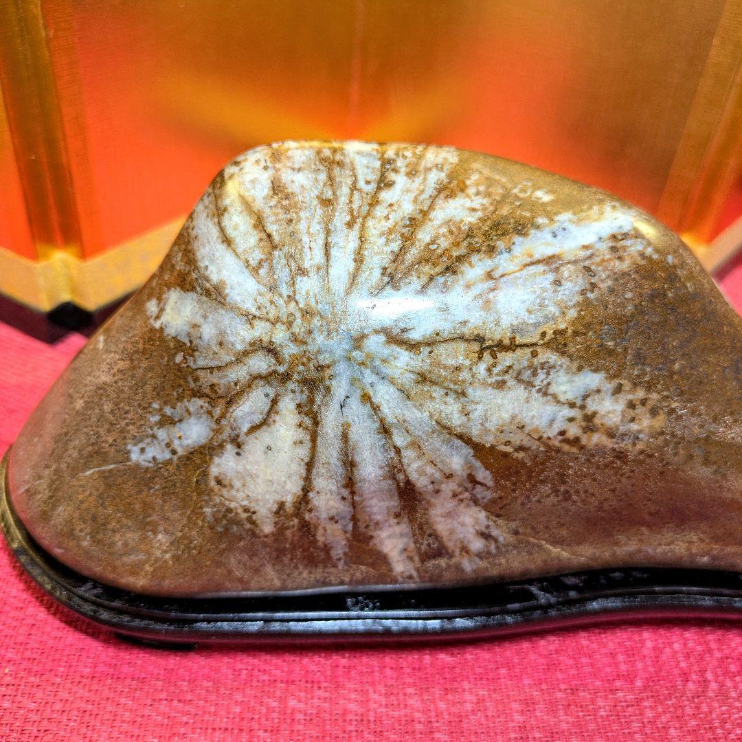 菊花石 岐阜県根尾谷産2.0㌔ 鑑賞石 観賞石 水石 盆石 天然石 置物