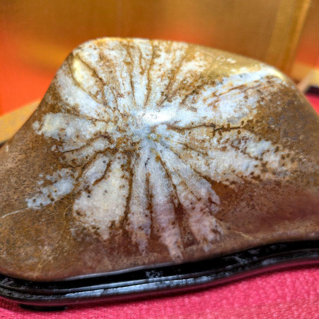 菊花石 岐阜県根尾谷産2.0㌔ 鑑賞石 観賞石 水石 盆石 天然石 置物