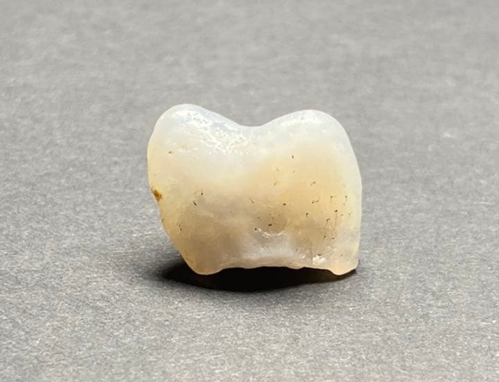 【珍品】京都府産　めのう　原石　歯　国産鉱物　標本　メノウ　瑪瑙