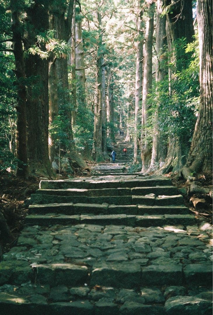 ※要OH Leica iiia キャノン100mm f3.5 インダスター22