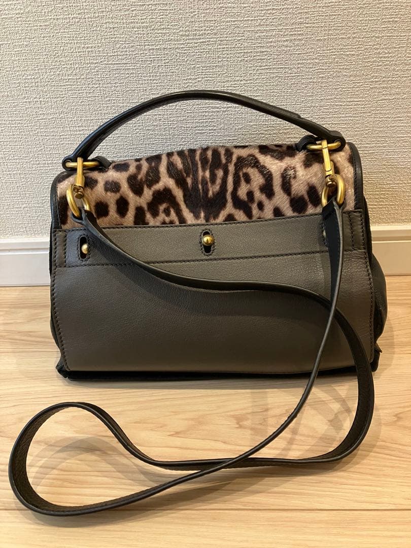 【レア】イヴサンローラン ヒョウ柄バッグ ミューズトゥ