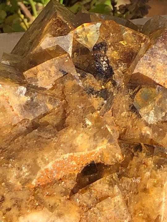 最高品質のフローライトゴールドの輝きがとてもゴージャスです‼️大特価SALE