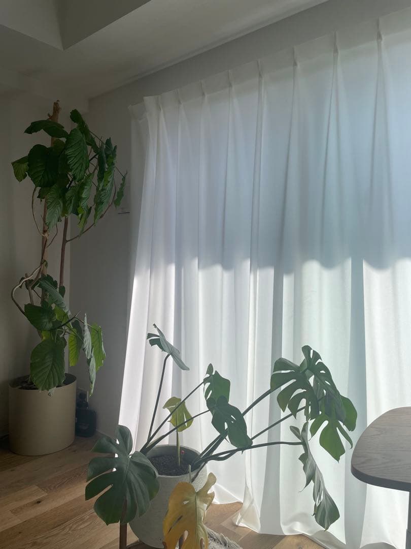 美品　リセノ　uvカット99%カーテン　SUNNY