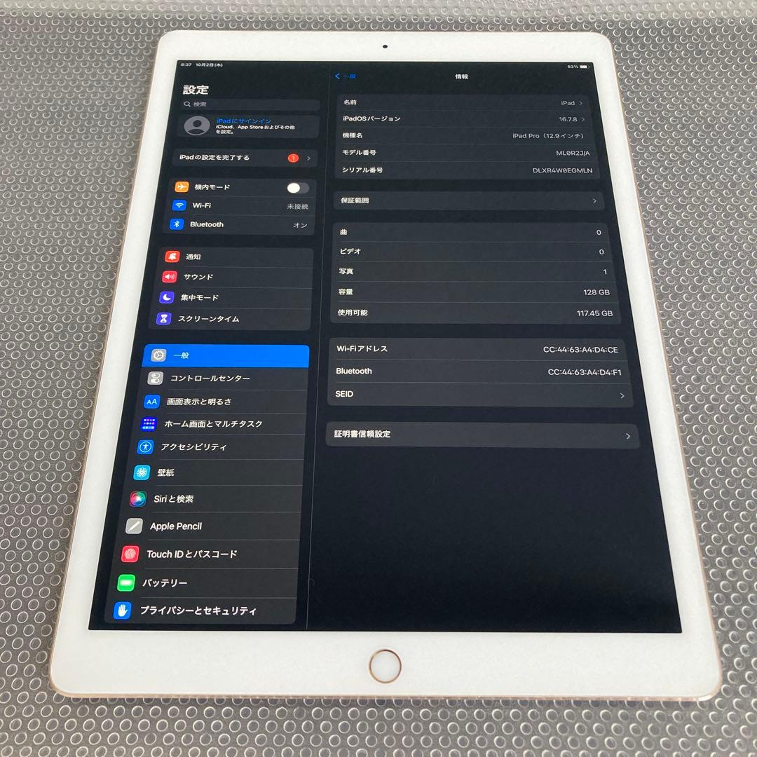 351【早い者勝ち】iPad Pro 256GB 12.9インチ WIFIモデル