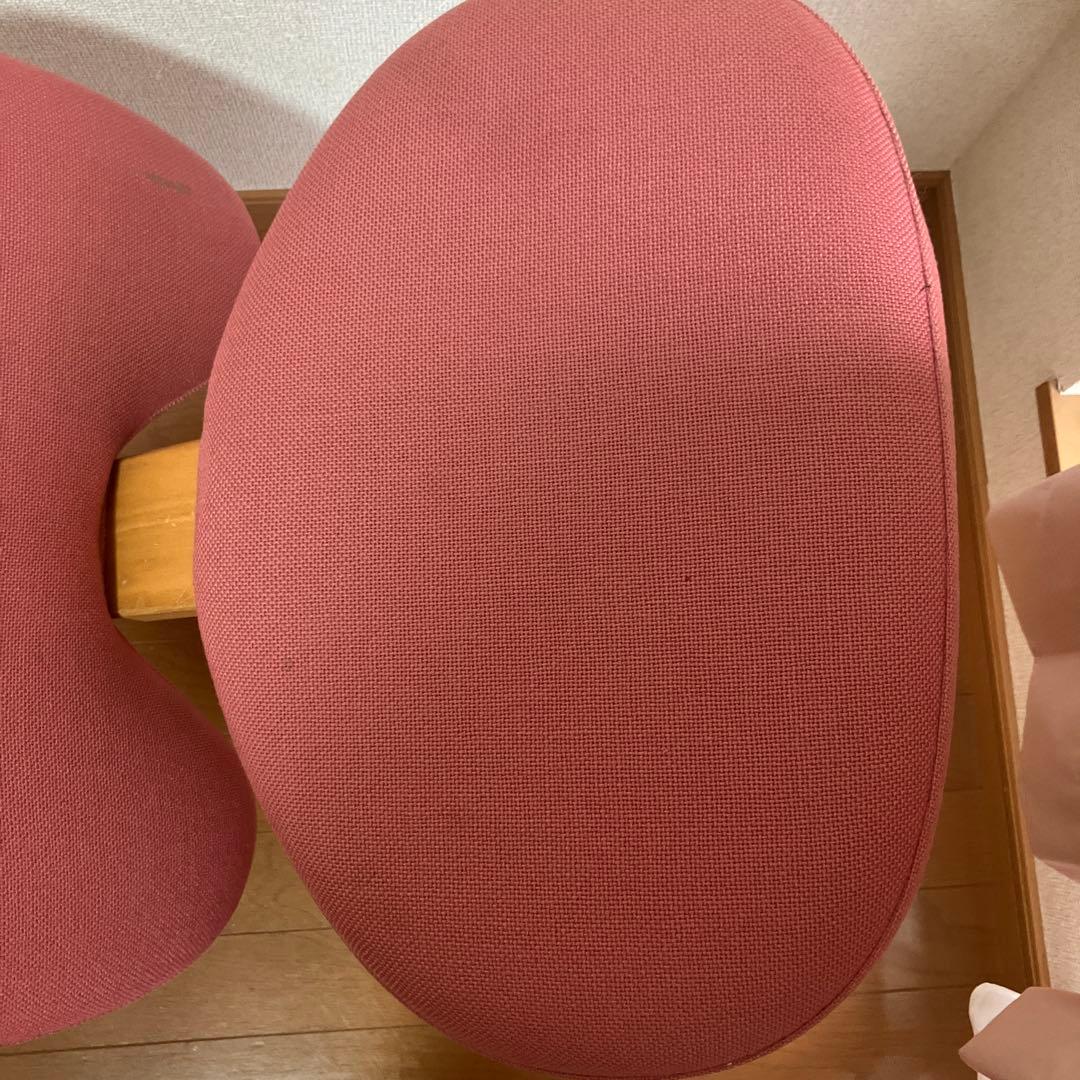 リボ社 バランスチェア balance EASY バランスイージー カバー付き