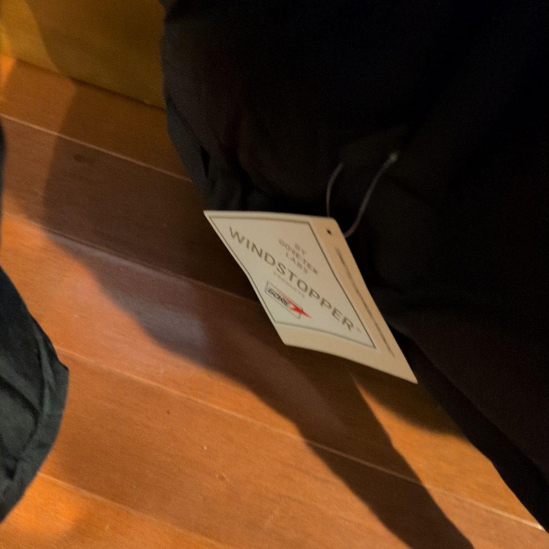 THE NORTH FACE XL ダウンジャケット WINDSTOPPER