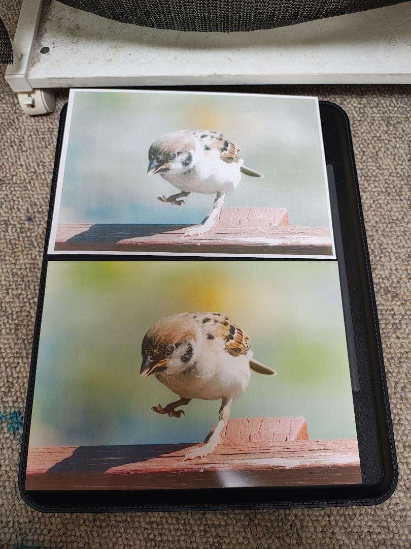 Canon キャノン プリンター 本体 TS6230 (E89)