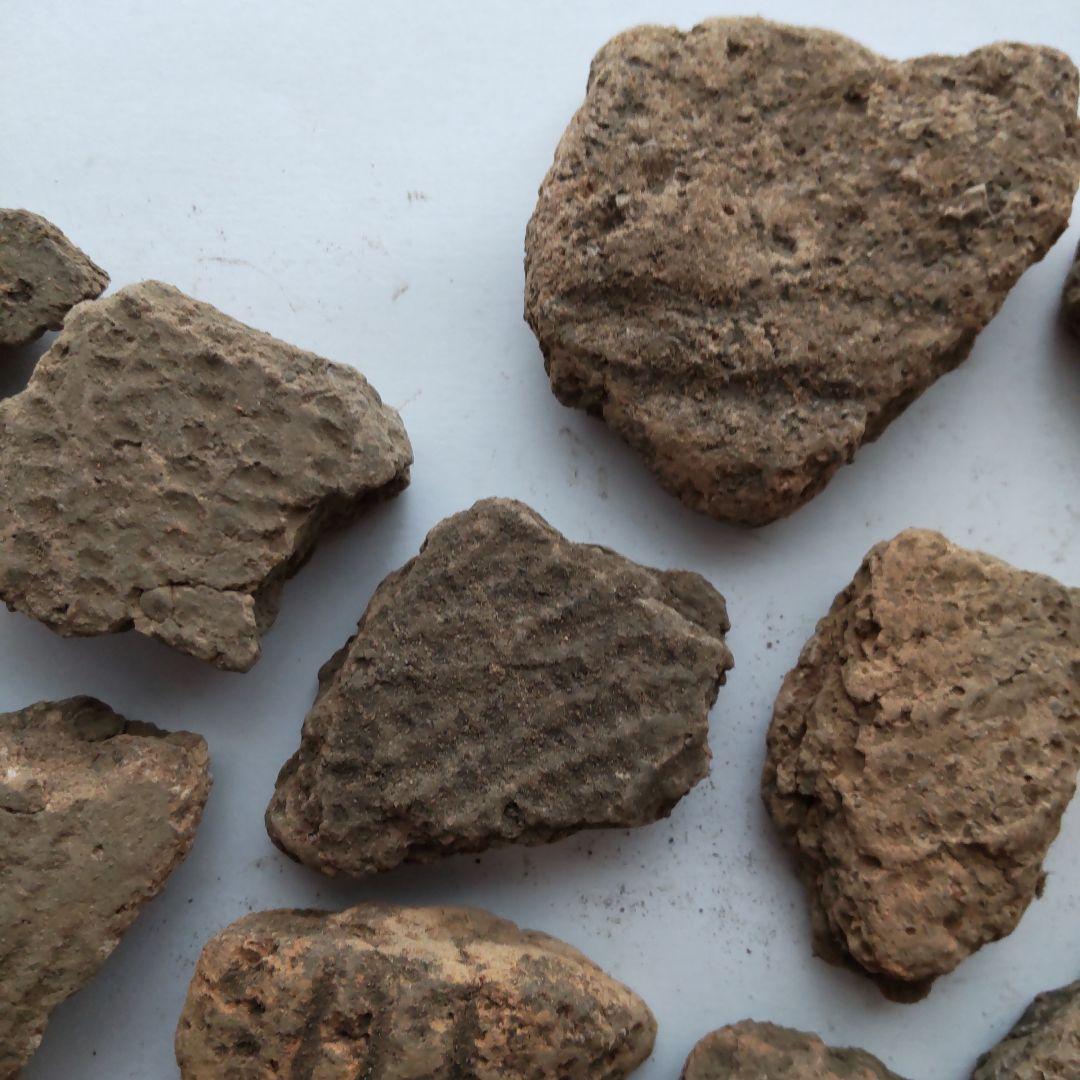 ★本物の縄文土器★(新潟県出土)24、23点