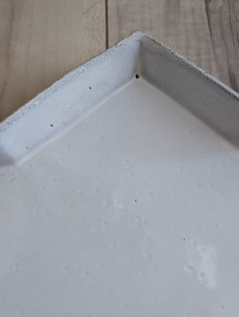 アスティエ・ド・ヴィラット　エトワール　ディナープレート②