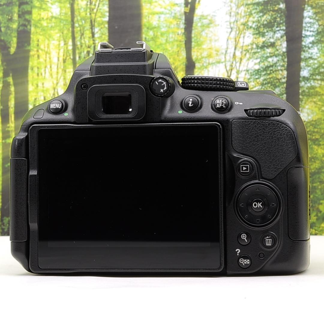 ショット数8005枚！WiFi機能付☆Nikon D5300☆初めての一眼レフに