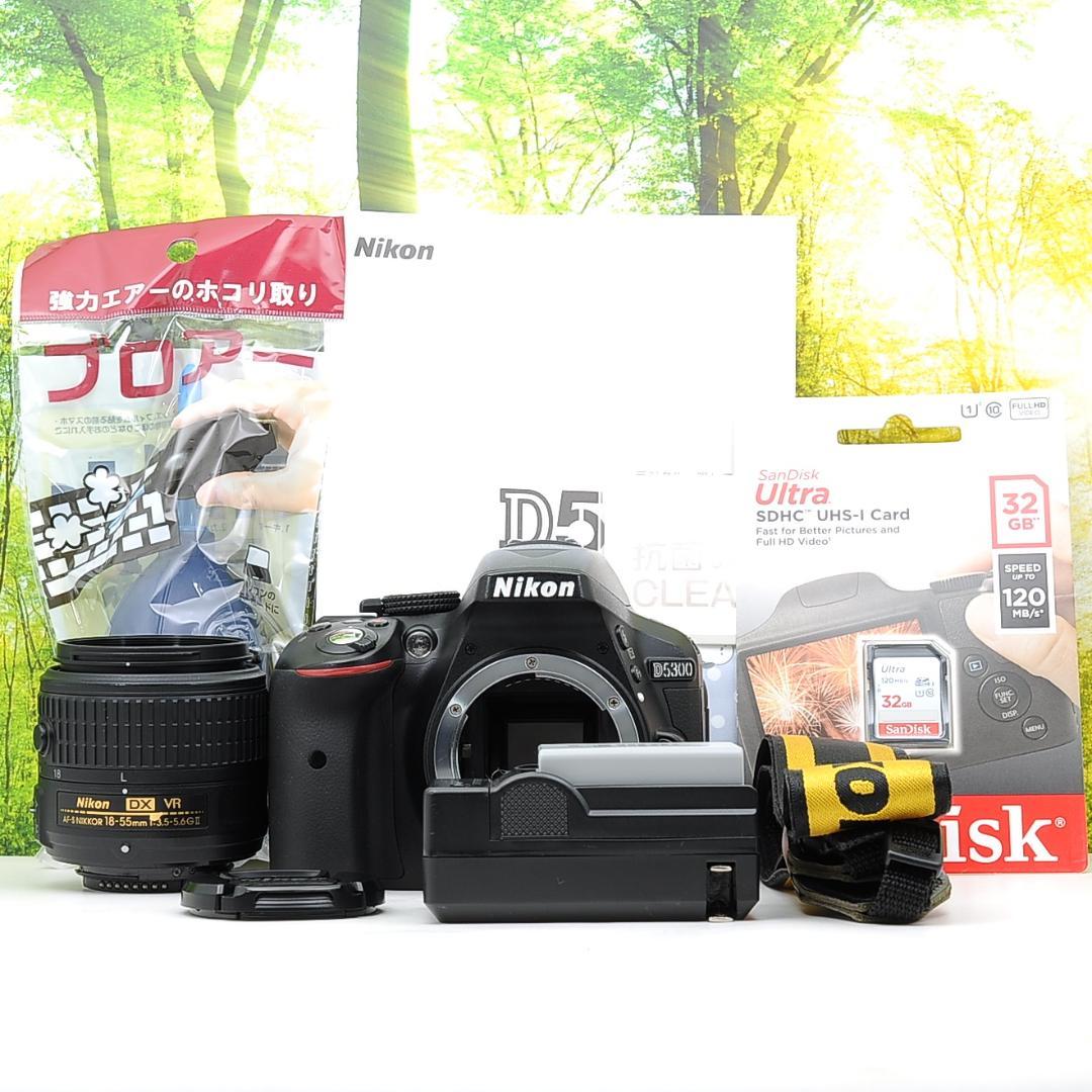 ショット数8005枚！WiFi機能付☆Nikon D5300☆初めての一眼レフに