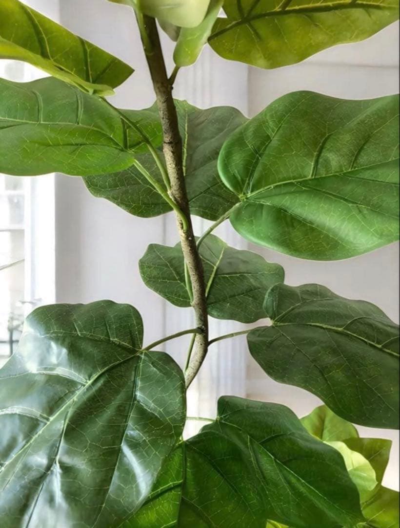 光触媒　人工観葉植物　ウォールグリーン　フェイクグリーン　2本ウンベラータ115