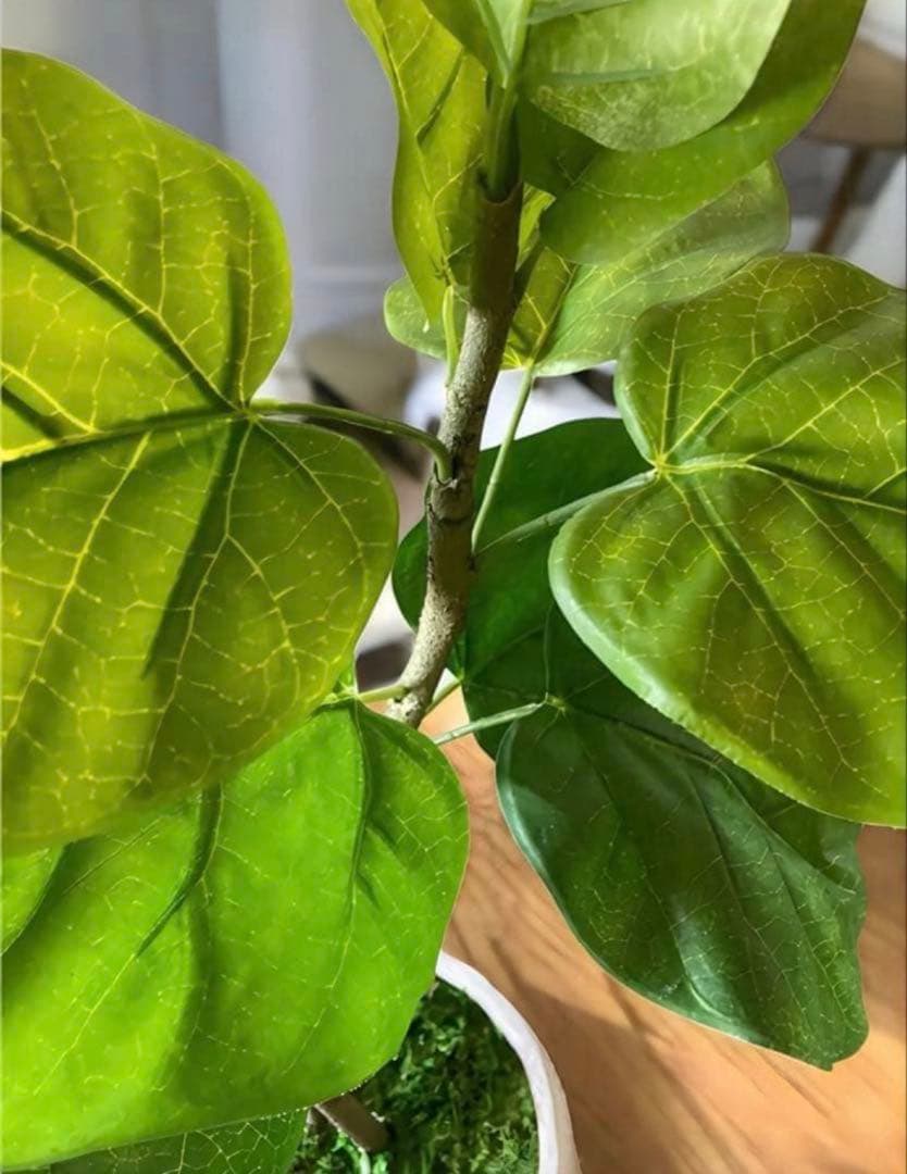 光触媒　人工観葉植物　ウォールグリーン　フェイクグリーン　2本ウンベラータ115
