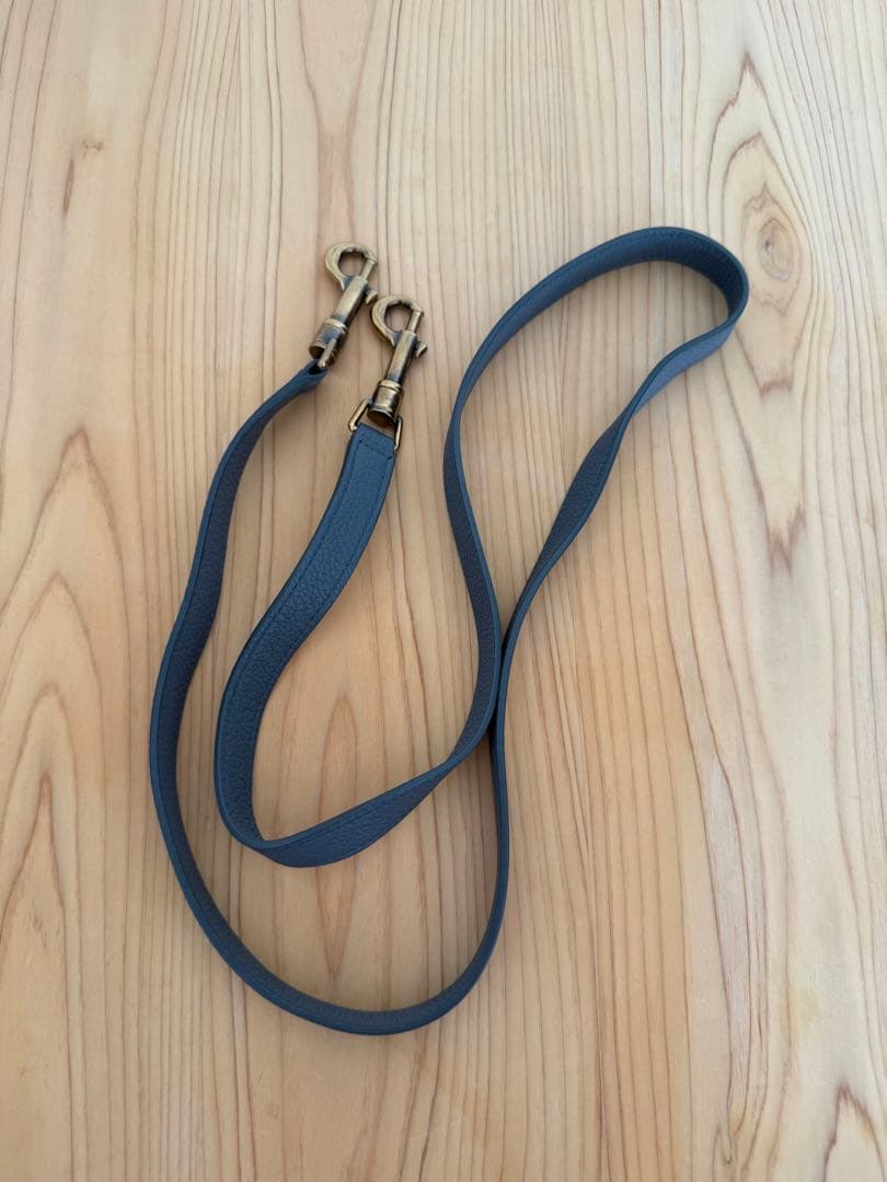 CELINE ナノラゲージバッグ　コール