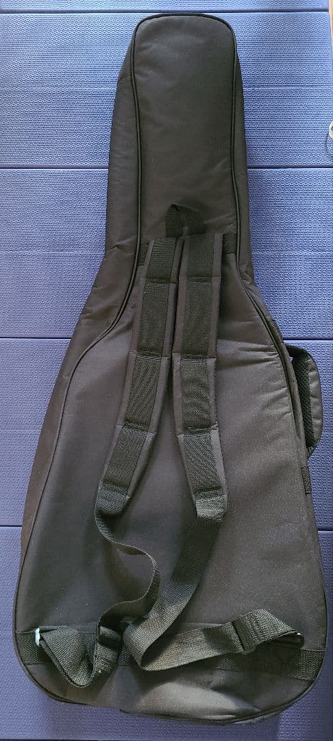 アコースティックギター HEX F100 M ケース付き 美品