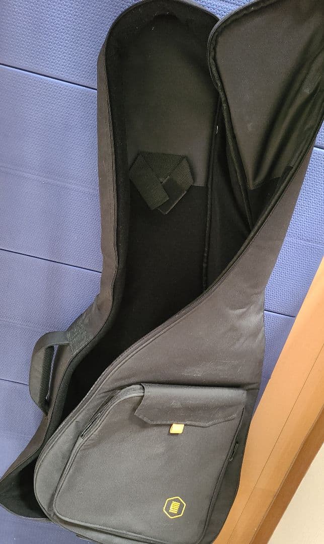 アコースティックギター HEX F100 M ケース付き 美品