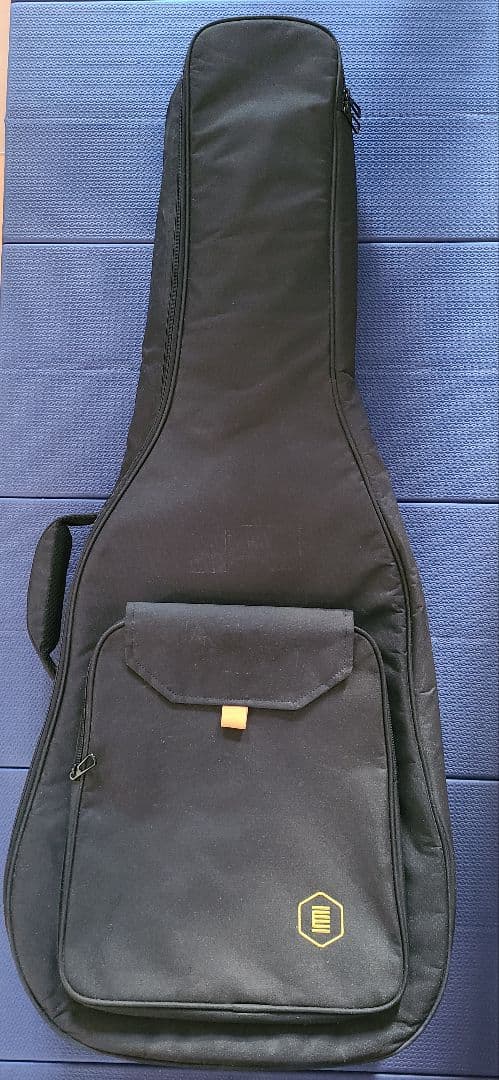 アコースティックギター HEX F100 M ケース付き 美品