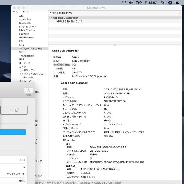 Apple 純正 SSD 1TB