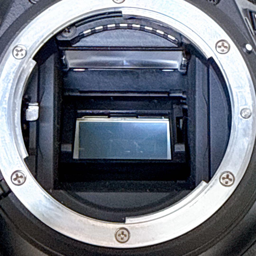 ニコン D5600 ダブルズームキット