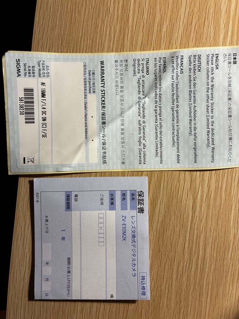 SONY ZVE10 II VLOGセット