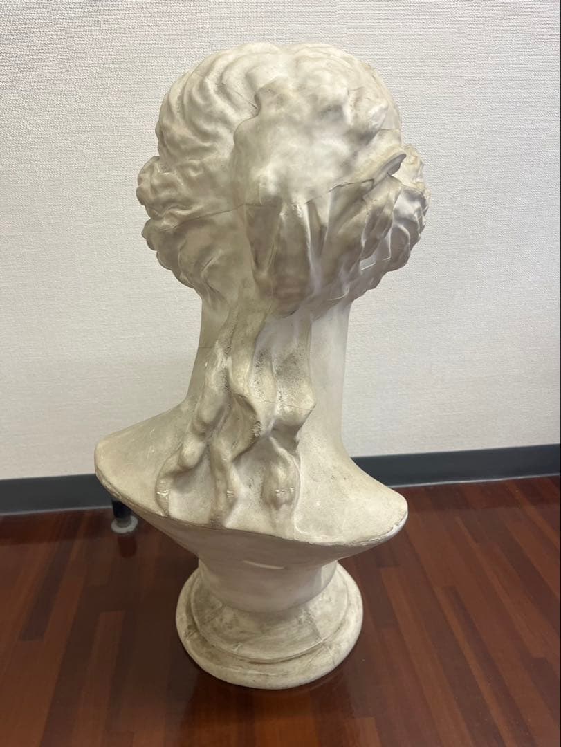 ヴィーナス 石膏像 胸像 顔 美術