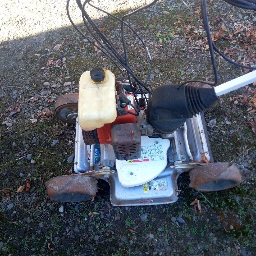 スパイダルモア引取限定