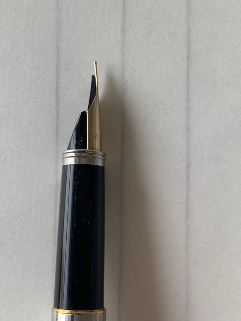 希少品 パイロット ダブルレイヤー蝕刻 18Kニブ 万年筆