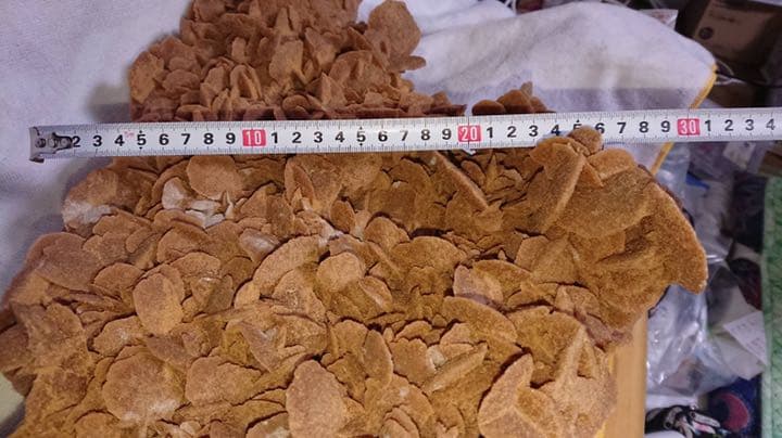 サンドローズ(デザートローズ)