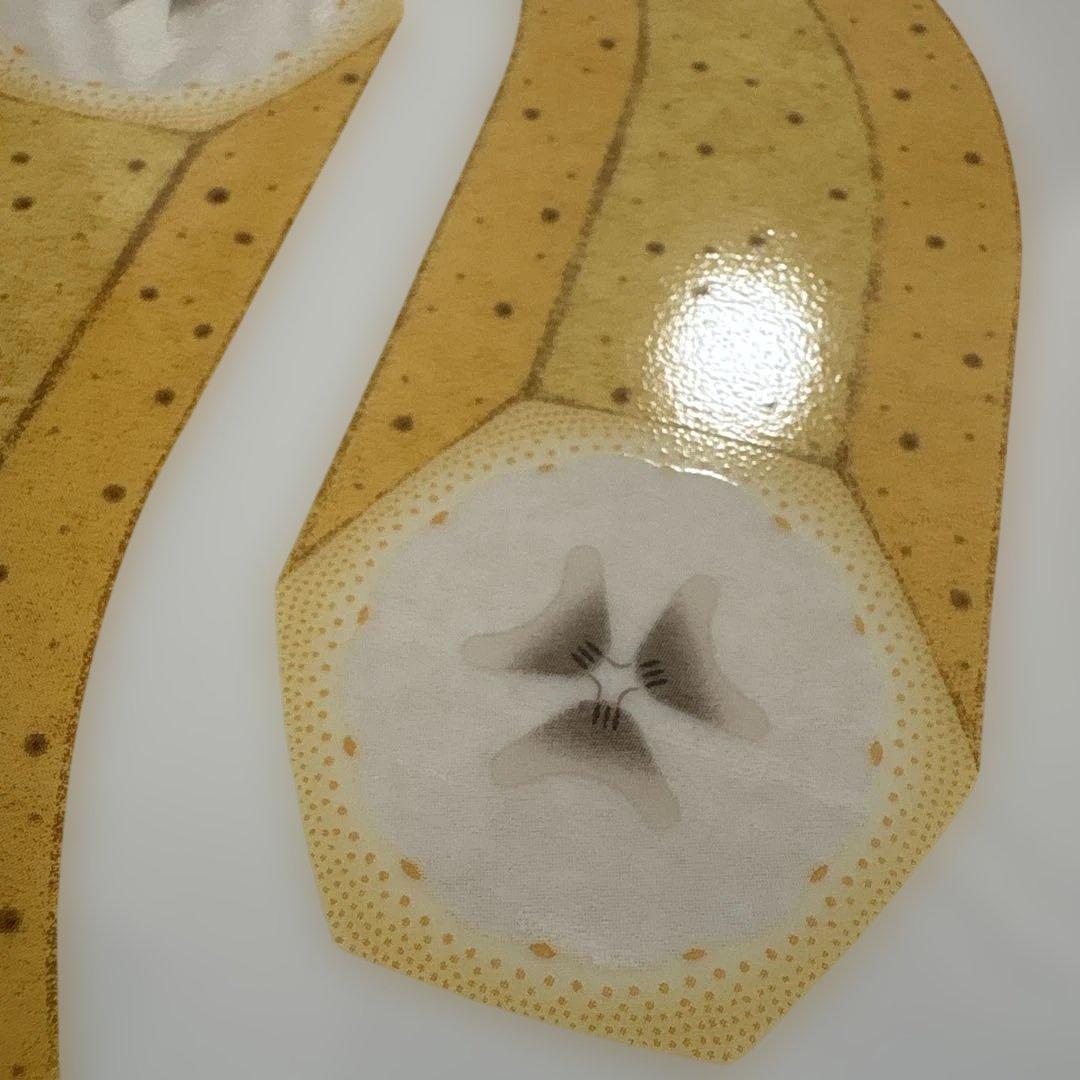 新品未使用 HERMÈS エルメス デザートプレート カオルミ バナナ