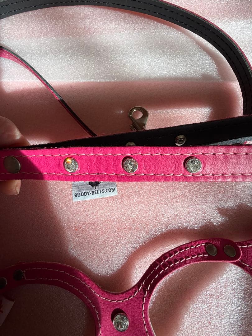 バディベルト ピンク ハーネス・胴輪セット