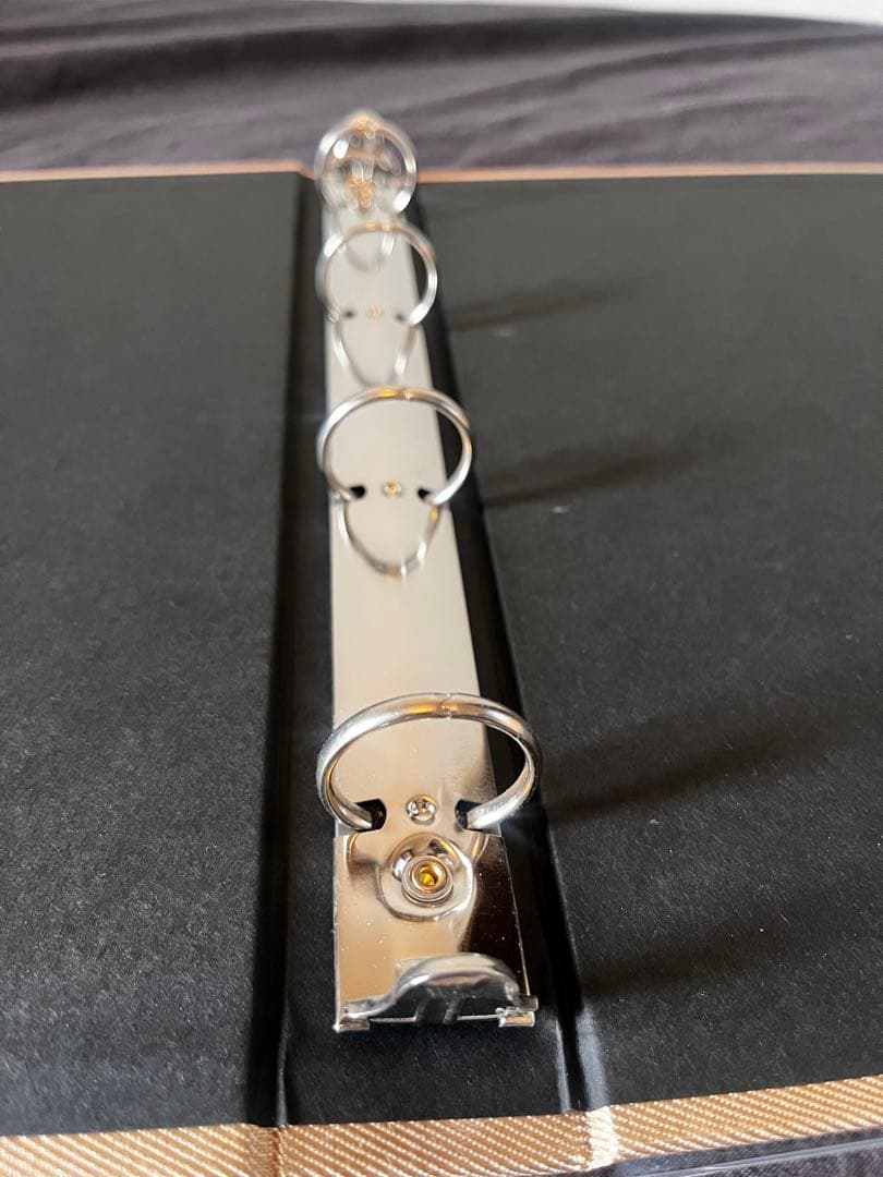 廃盤品　デルフォニックス　アルバムＬサイズ5冊レフィルセット